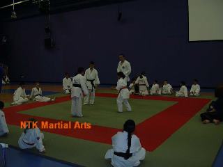 One of the photos of the early days after Miyabi Ryu's move to Bolton Arena.